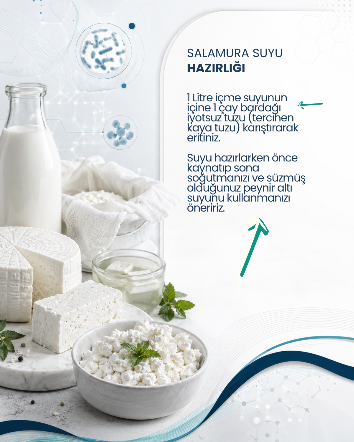 Peynir Mayası 10 Kapsül