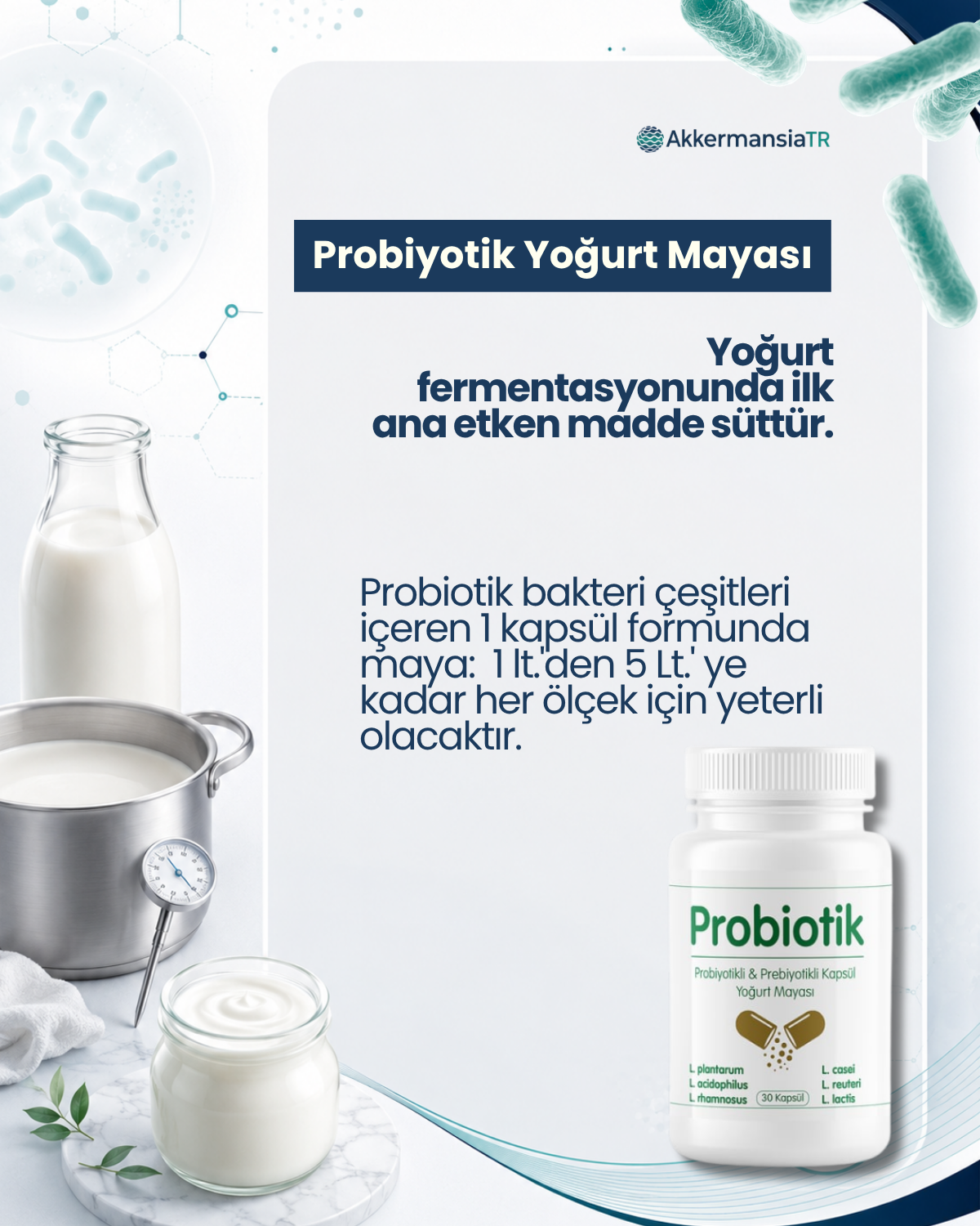Probiyotik Yoğurt Mayası 10 Kapsül