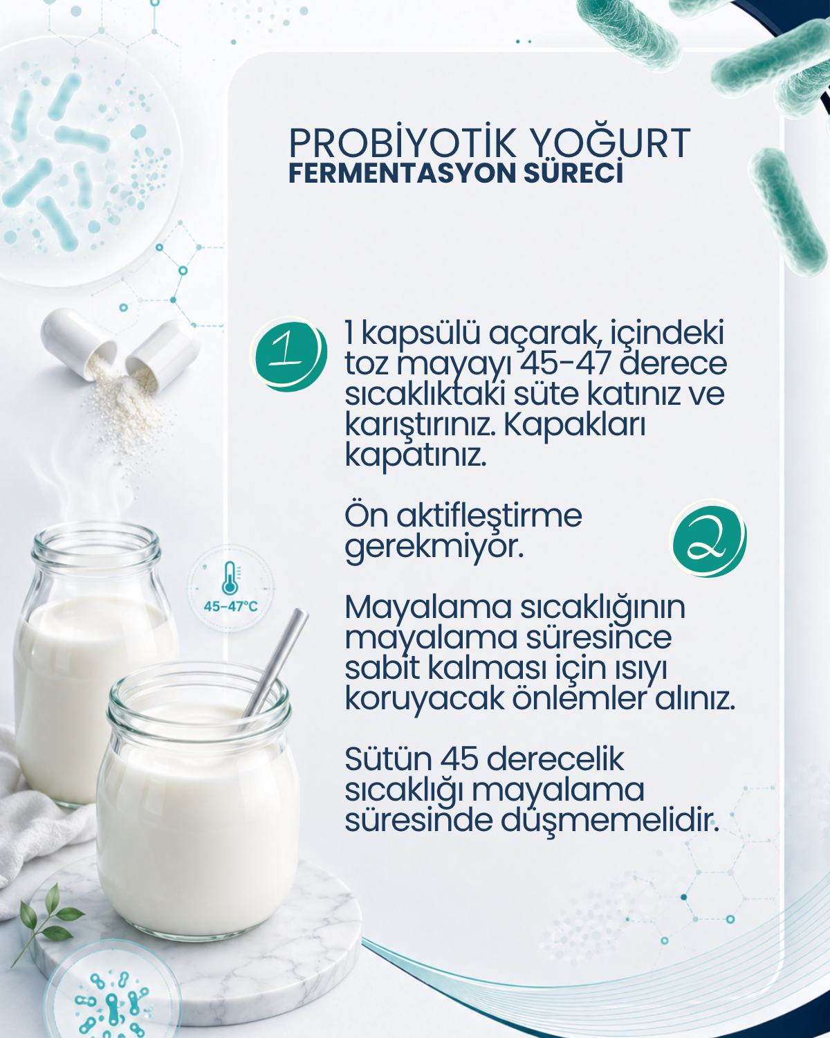 Probiyotik Yoğurt Mayası 10 Kapsül
