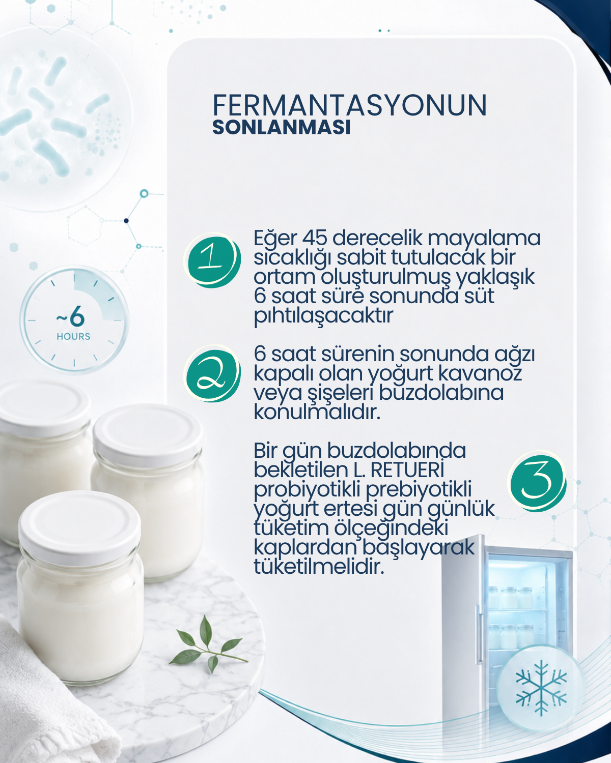 Probiyotik Yoğurt Mayası 10 Kapsül