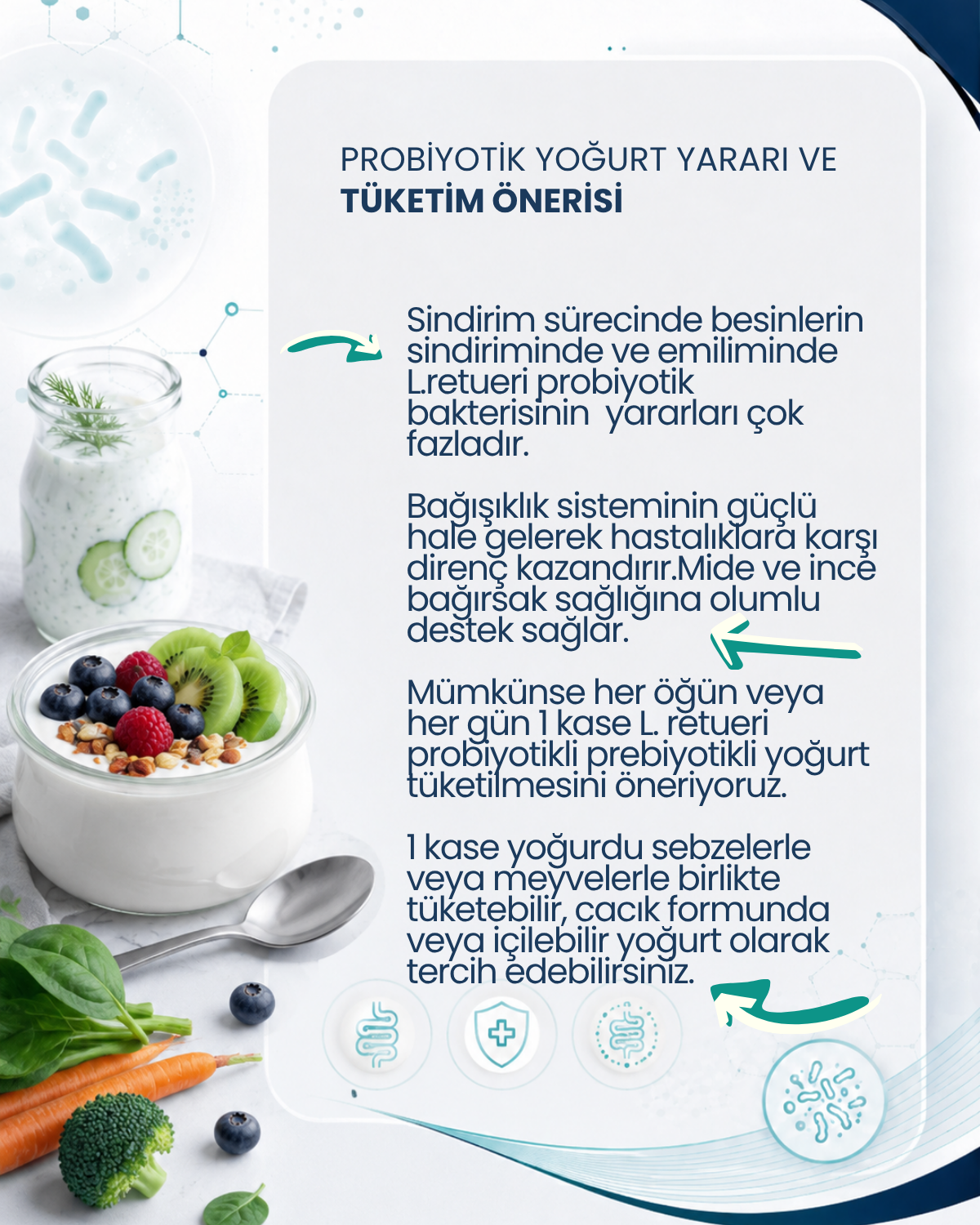 Probiyotik Yoğurt Mayası 10 Kapsül