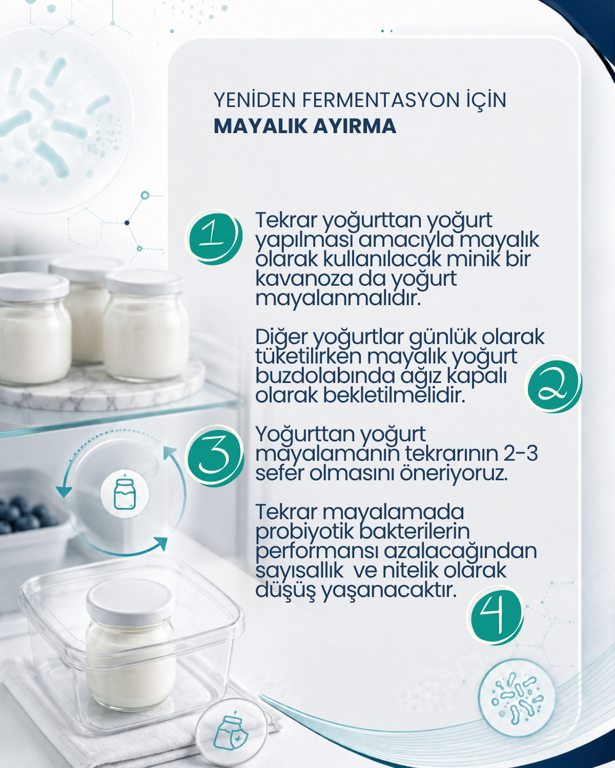 Probiyotik Yoğurt Mayası 30 Kapsül