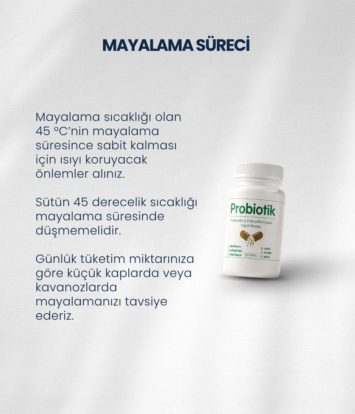 Probiyotik Yoğurt Mayası 30 Kapsül