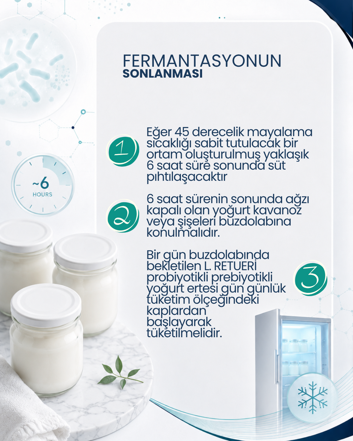 Probiyotik Yoğurt Mayası 30 Kapsül