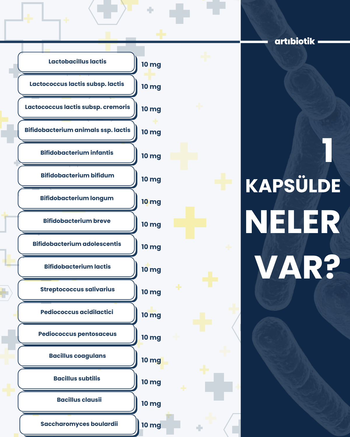 ProbiyotikMix (İkili)