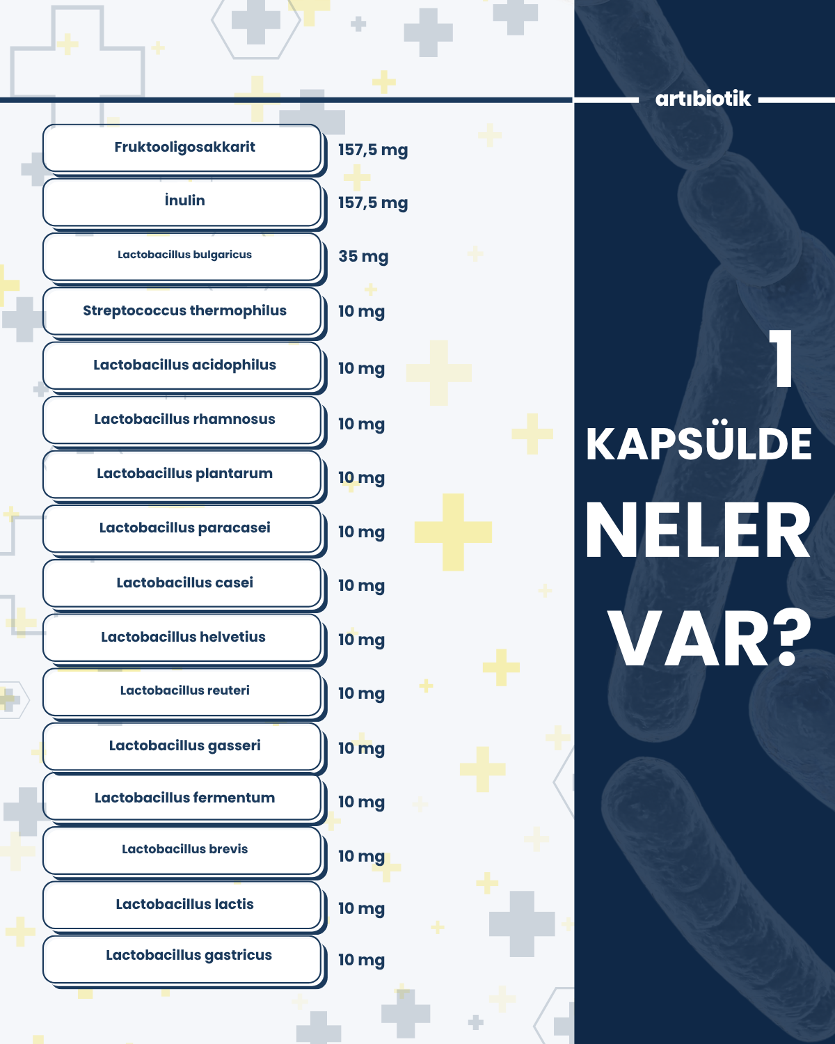 ProbiyotikMix (İkili)