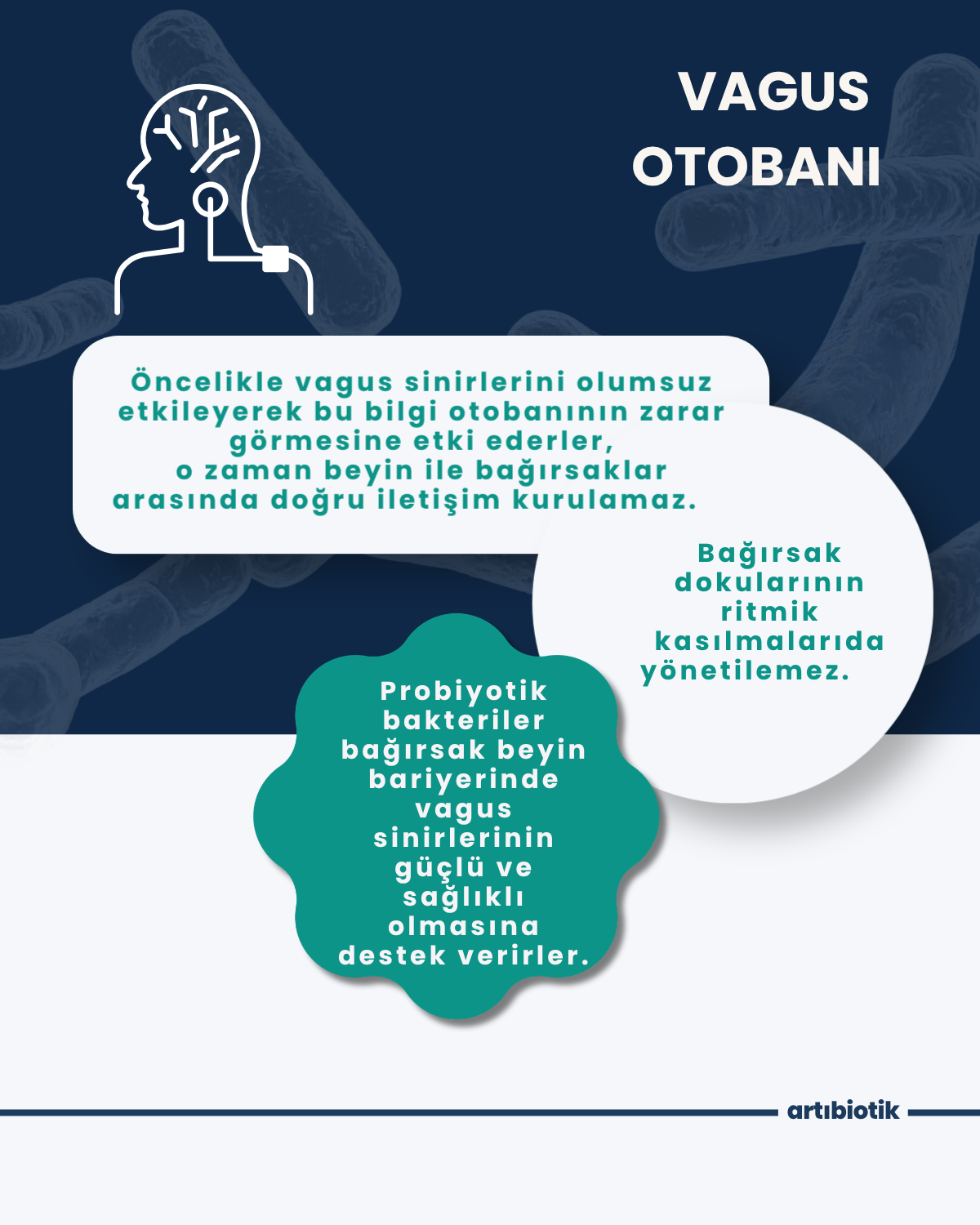Pskobiotik (İkili)