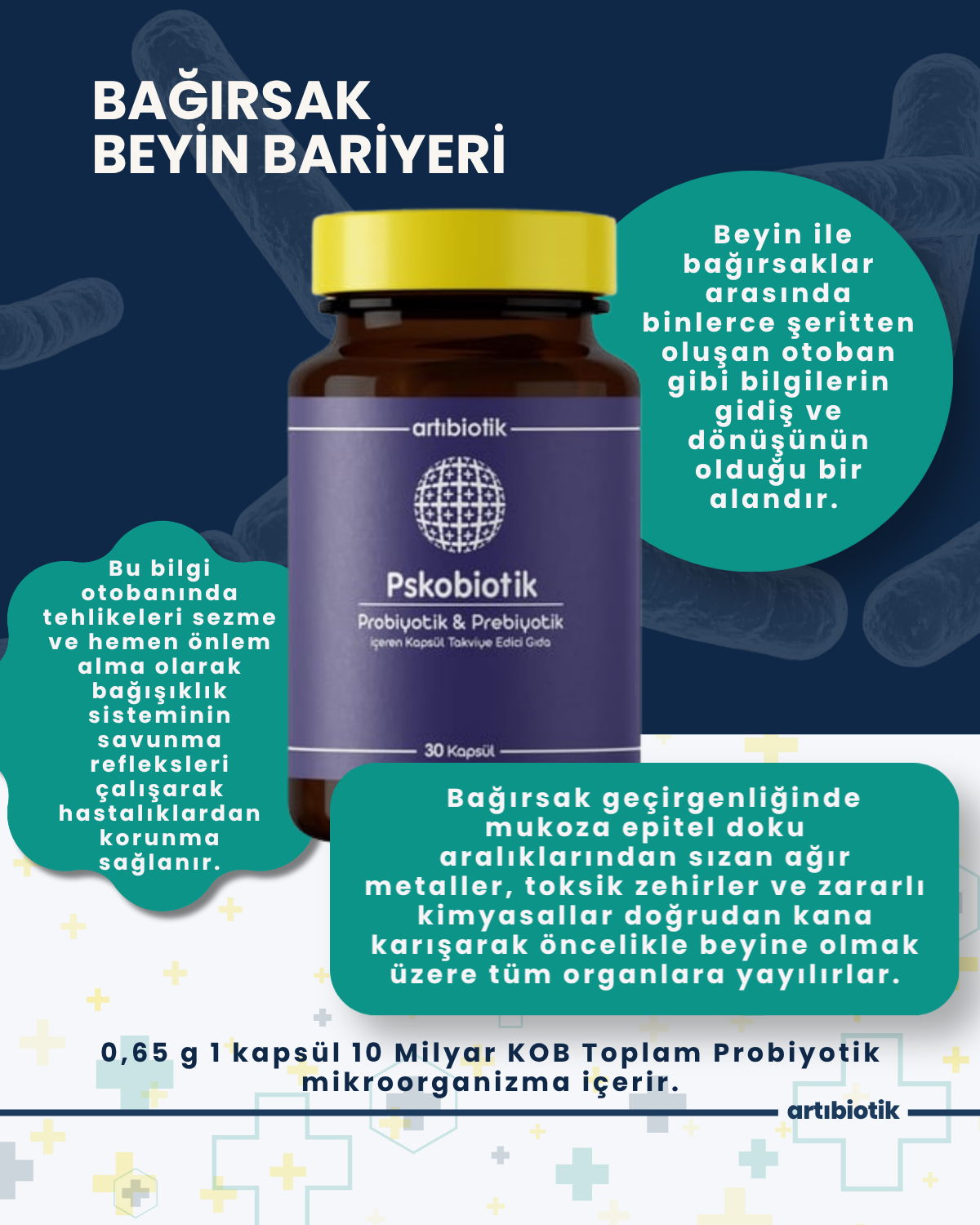 Pskobiotik (İkili)