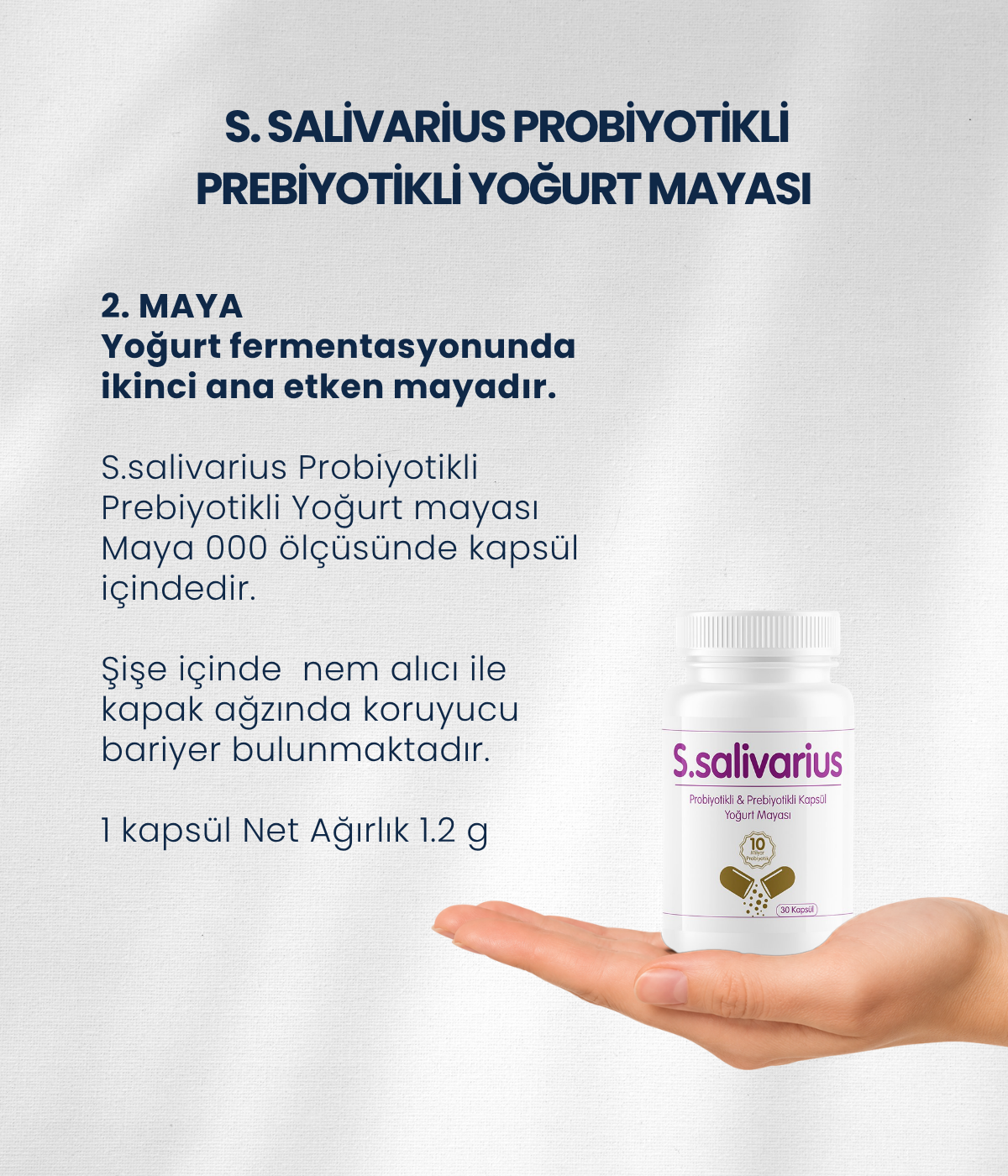 S.salivarius Yoğurt Mayası 30 Kapsül