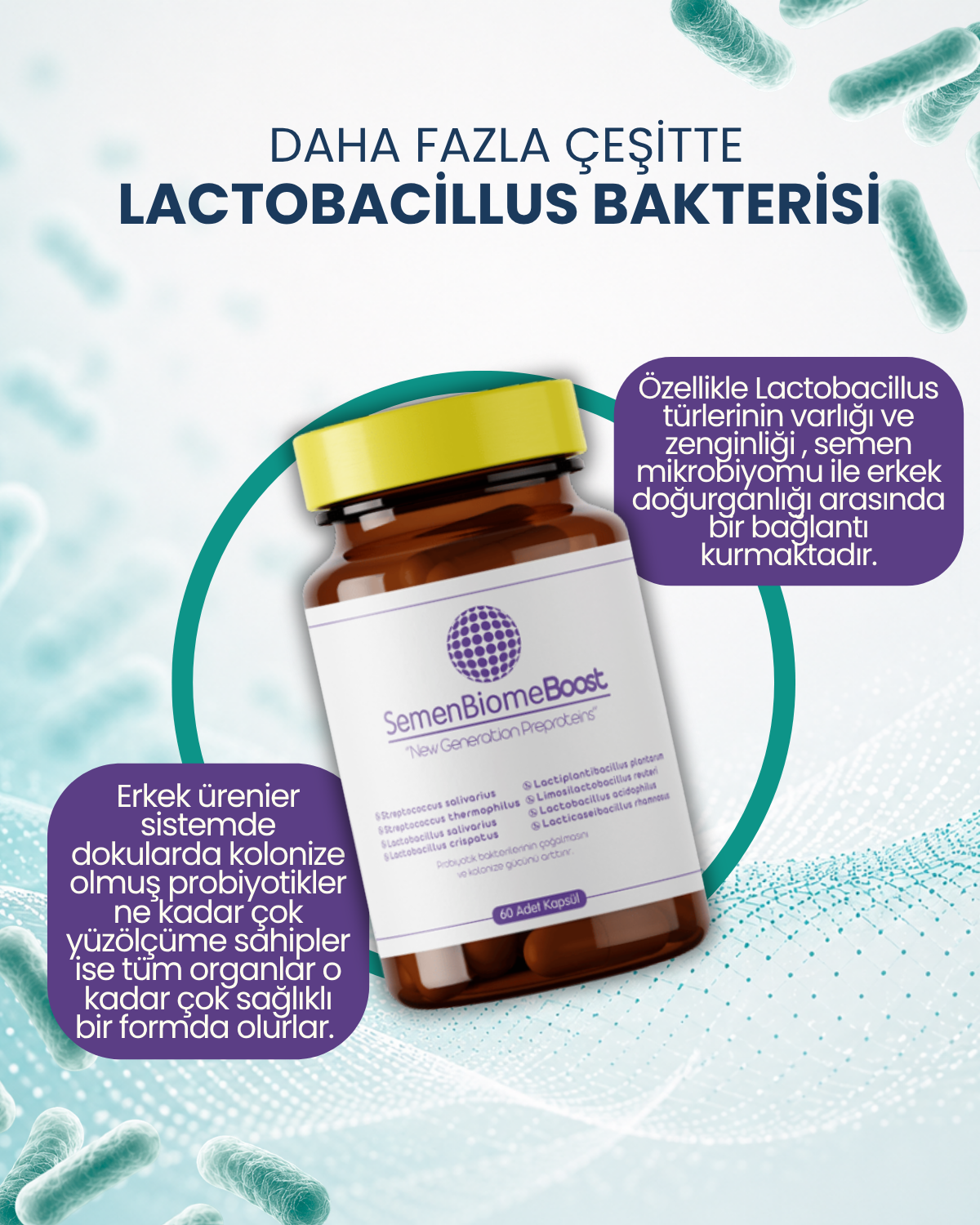 SemenBiomeBoost 60 Kapsül