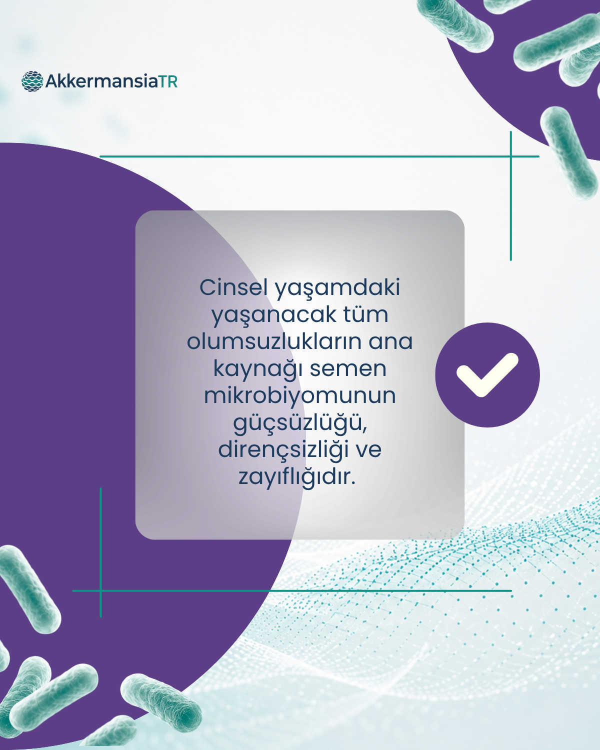 SemenBiomeBoost 60 Kapsül