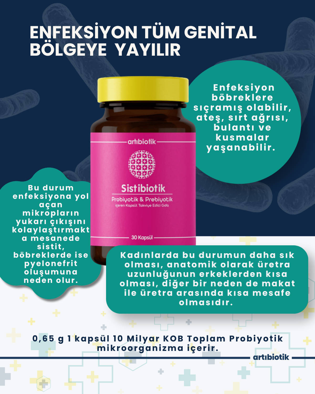 Sistibiotik (İkili)