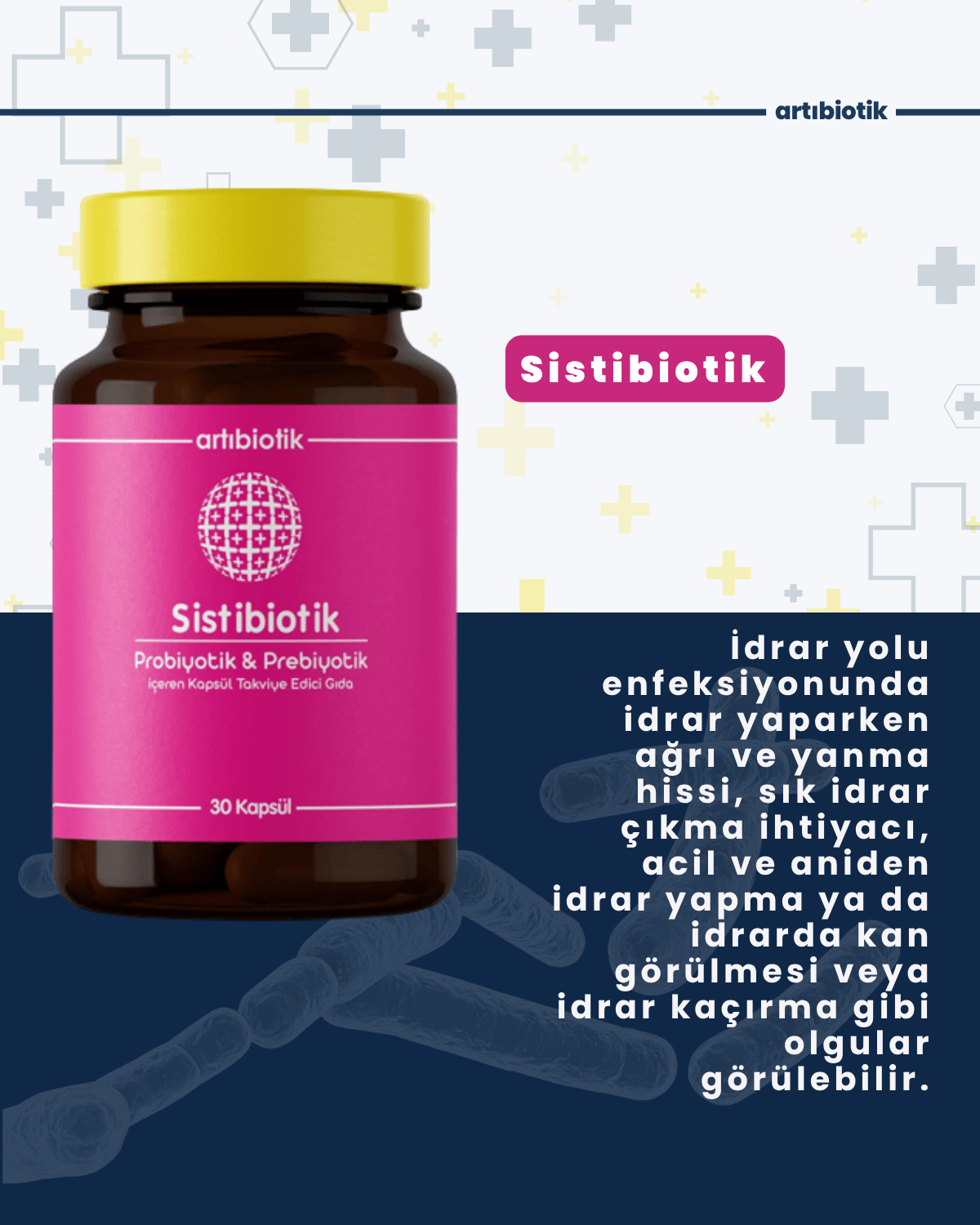 Sistibiotik (İkili)