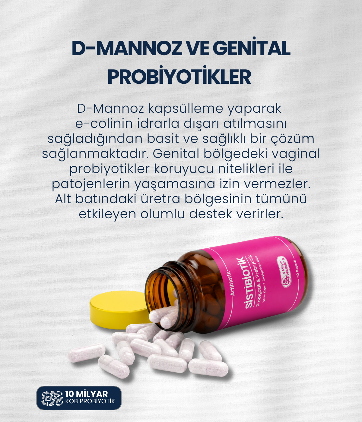 Sistibiotik (İkili)