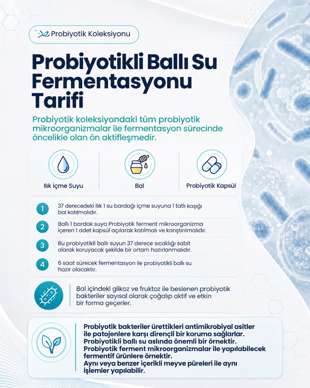 Streptococcus thermophilus ( 40 Kapsül )