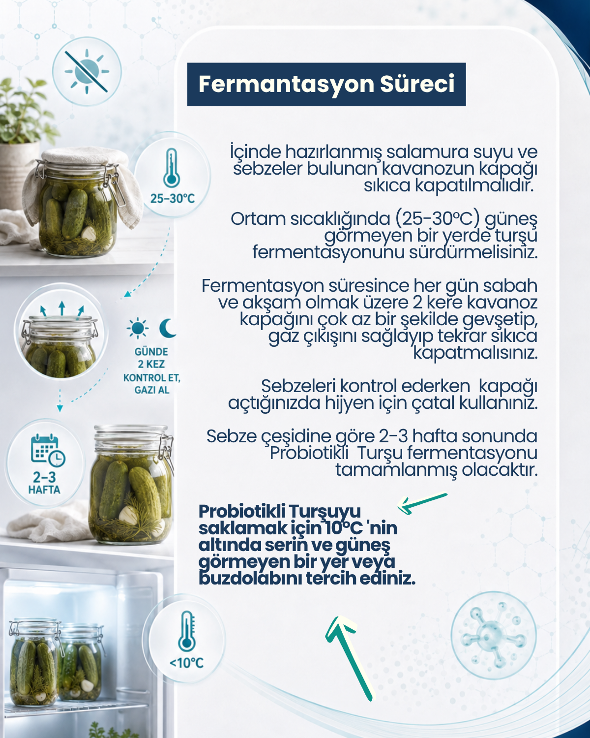Turşu Mayası 10 Kapsül