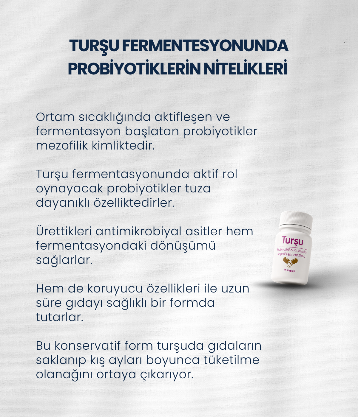Turşu Mayası 10 Kapsül