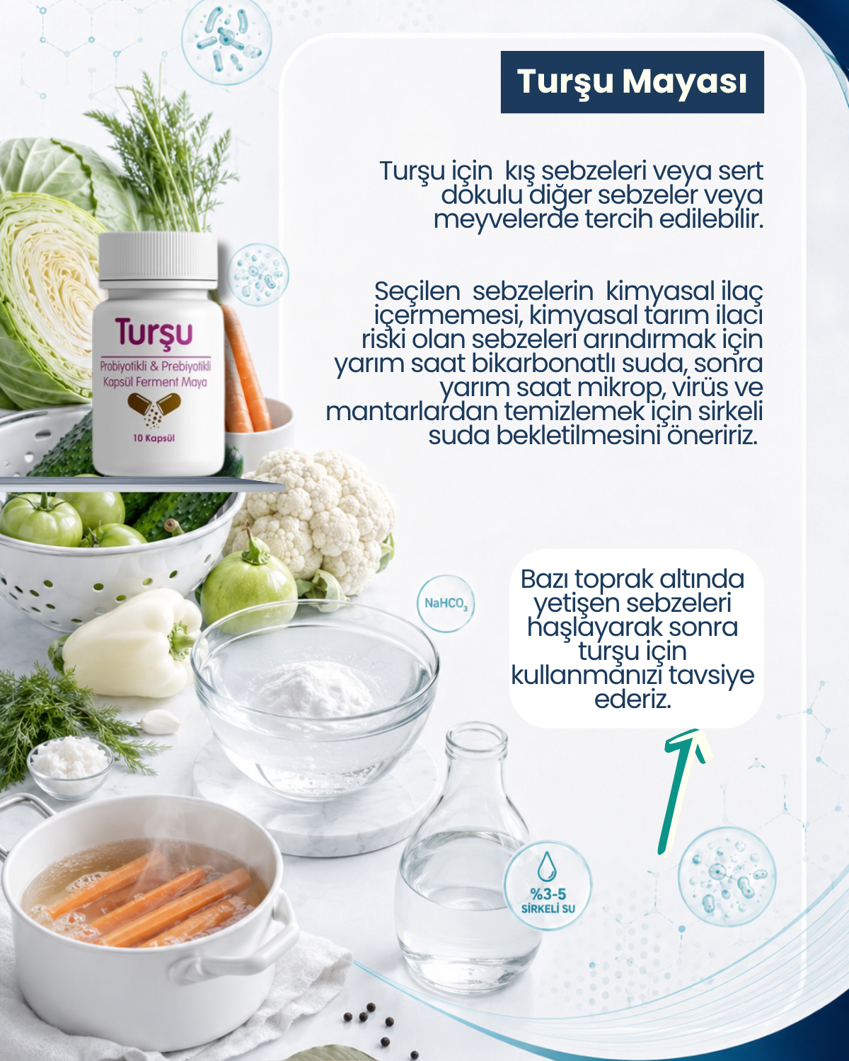 Turşu Mayası 10 Kapsül