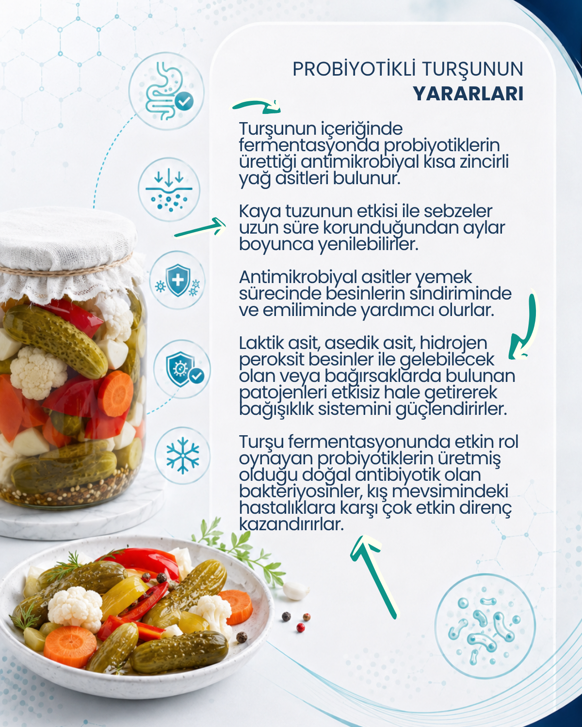 Turşu Mayası 10 Kapsül