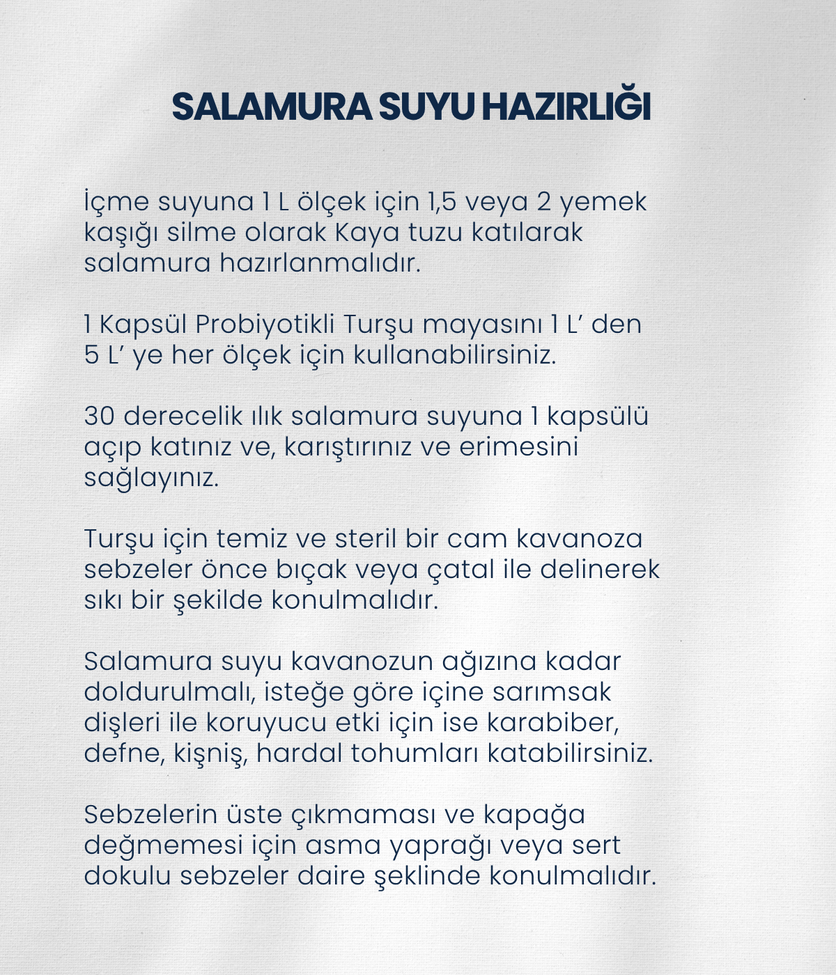 Turşu Mayası 10 Kapsül