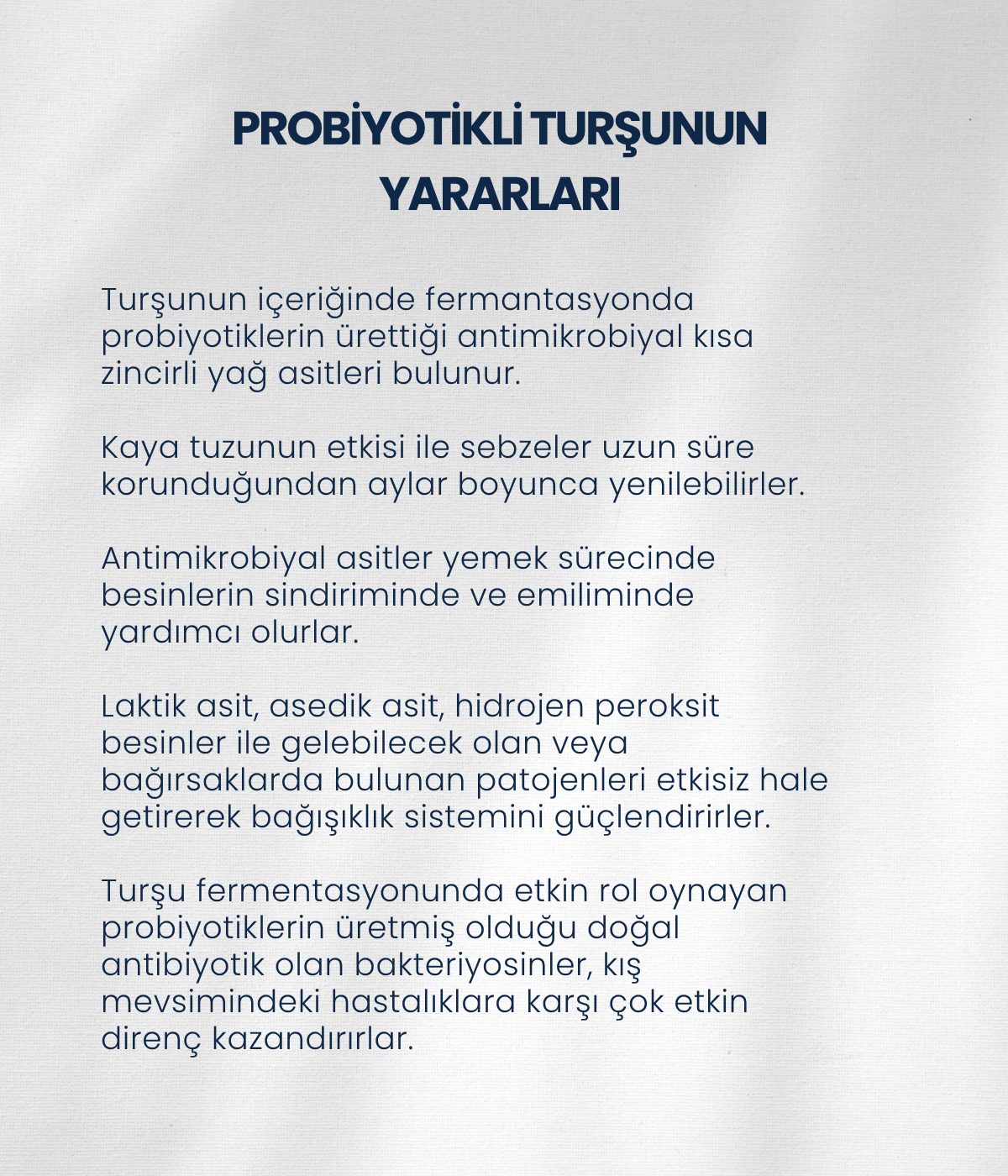 Turşu Mayası 10 Kapsül