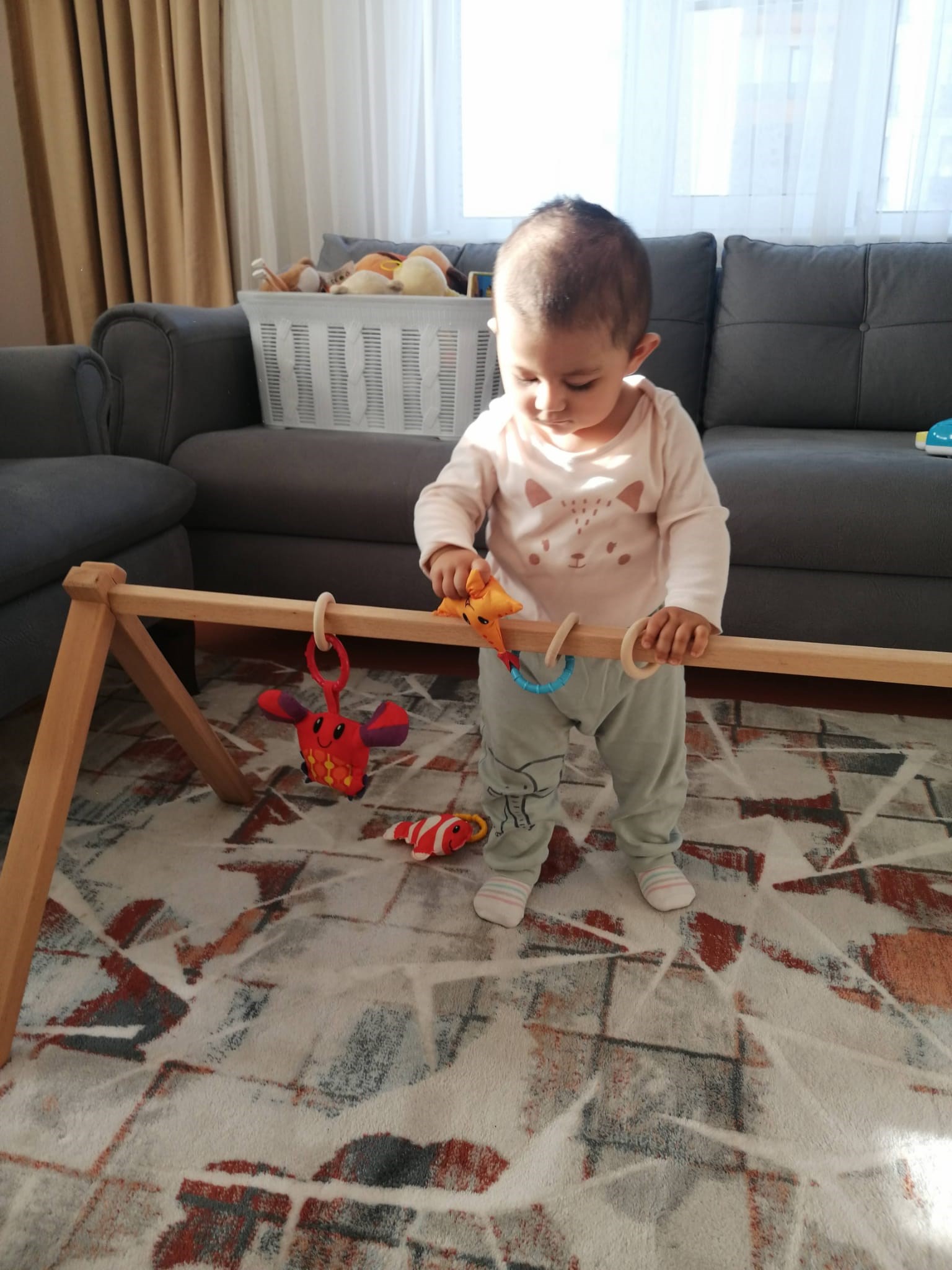 Minaco Baby Sallanabilir Kademeli Doğal Ahşap Anne Yanı Portatif Basenet Beşik Gri