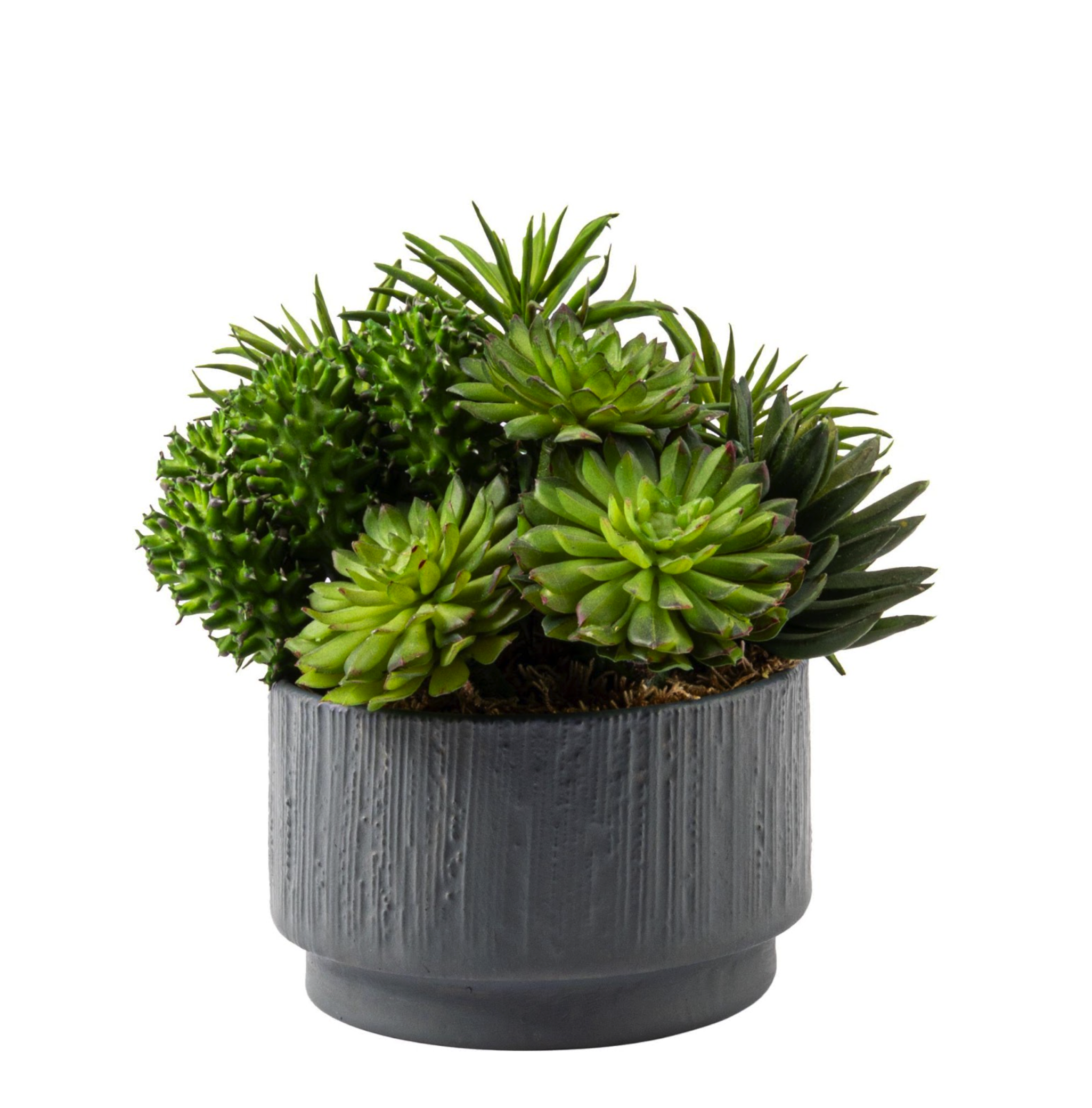 KÜÇÜK SUKLENT ARAJMANI