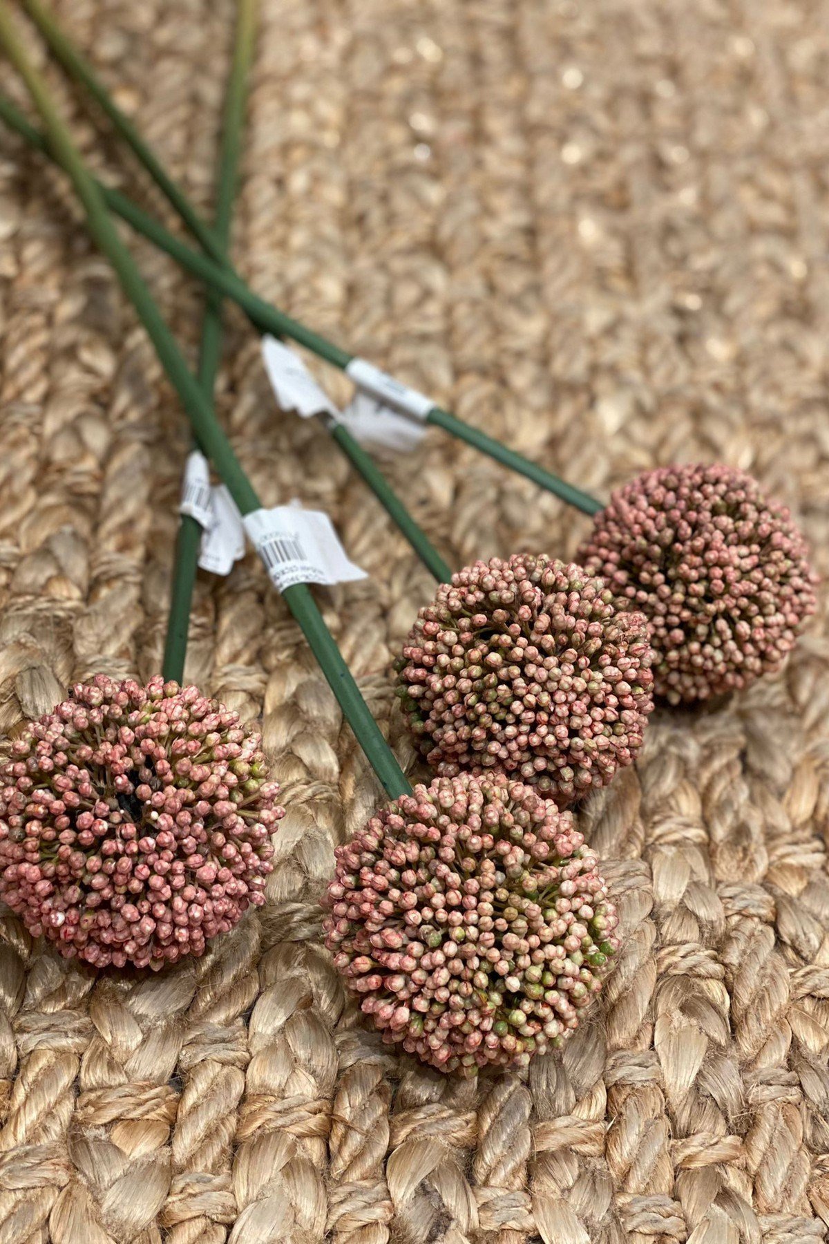 Soğan Çiçeği 50 cm