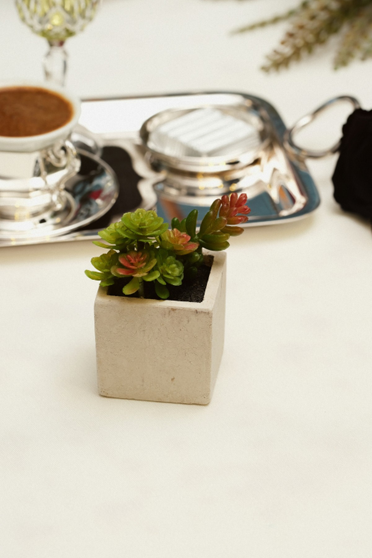 Ypy Sklnt Beton Saksı