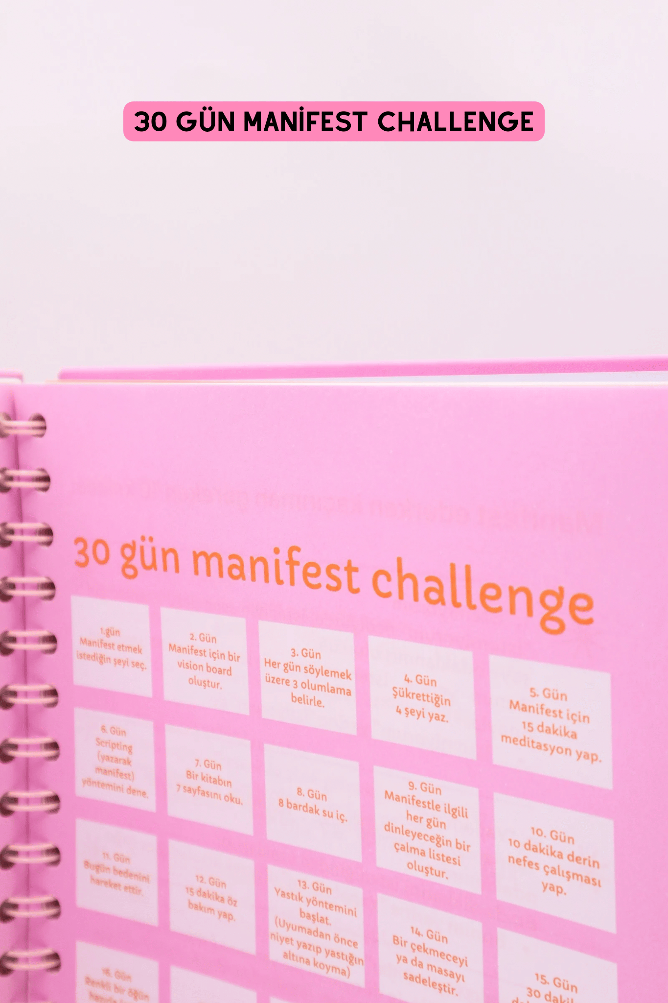 MANİFESTLE Manifest Günlüğü Ajanda Pembe S1