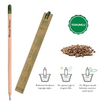 Ahşap Tohumlu Naturel Kurşun Kalem