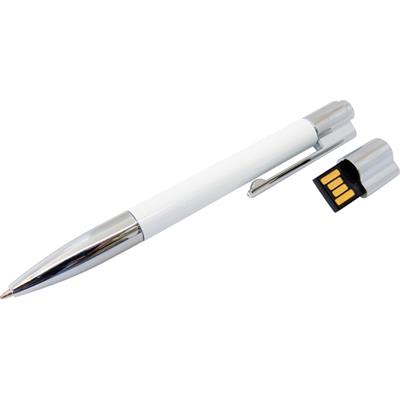 Kalemli Usb Bellek