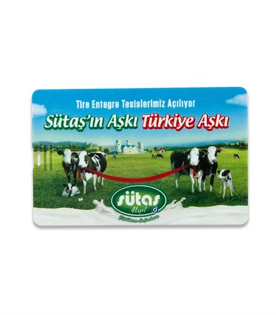 Kart Şeklinde Dikdörtgen Usb Flash Bellek