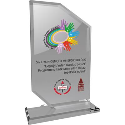 Kristal Plaket M2