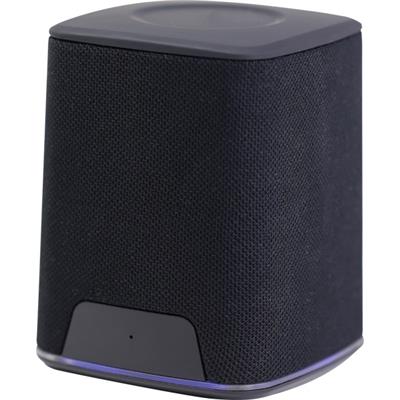 Speaker 300 Mah