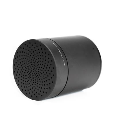 Speaker 700 Mah