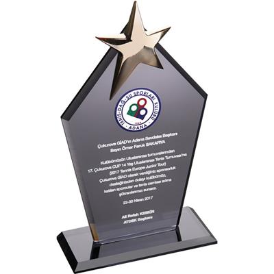 Yıldızlı Kristal Plaket M2