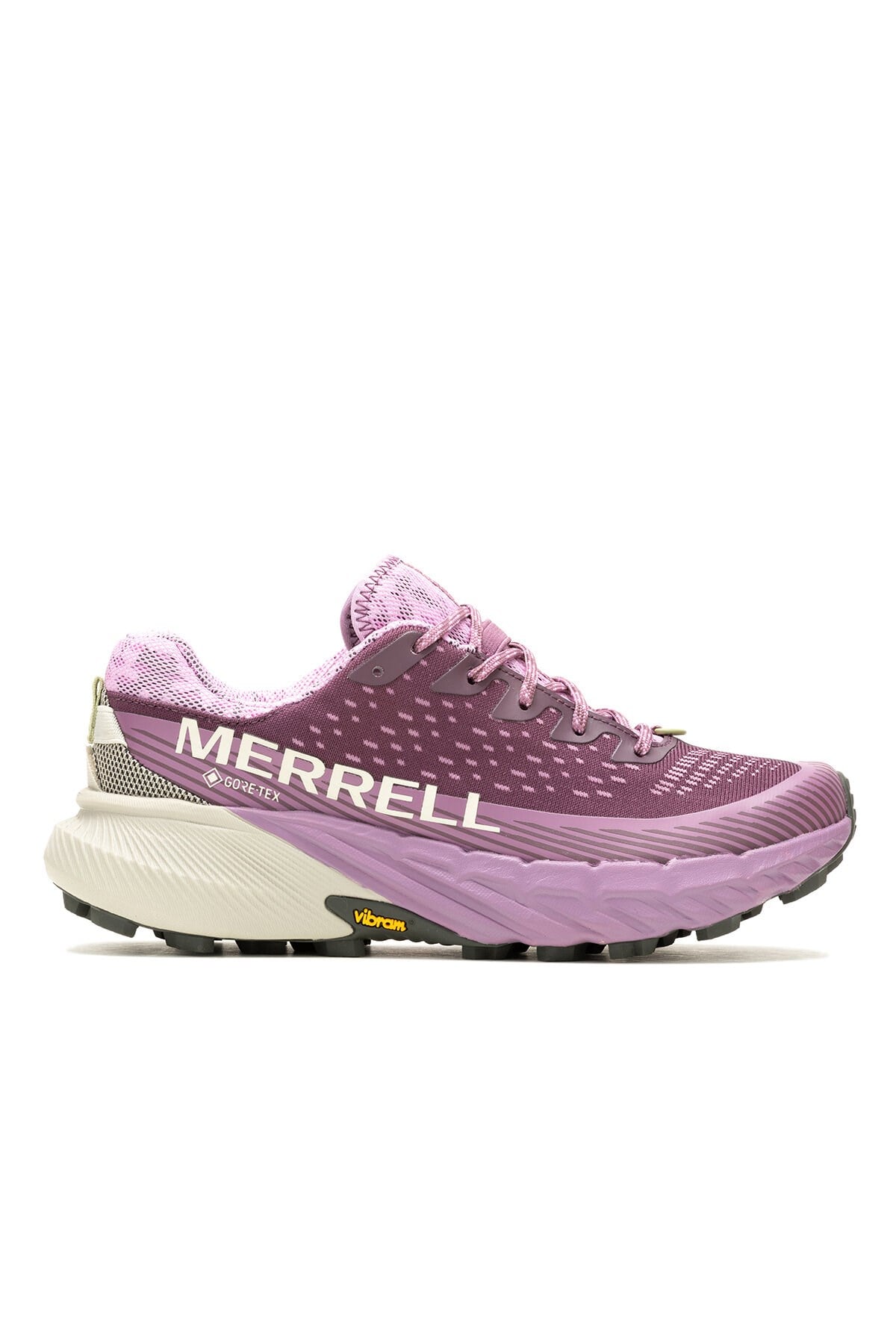 Agility Peak 5 Gore-Tex Kadın Ayakkabı J068164