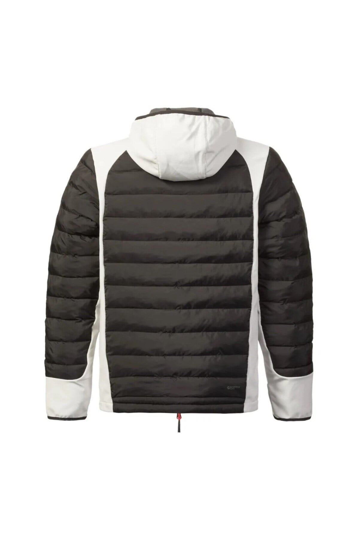 M EVO LOFT HOODED YELKEN MONT 2.0