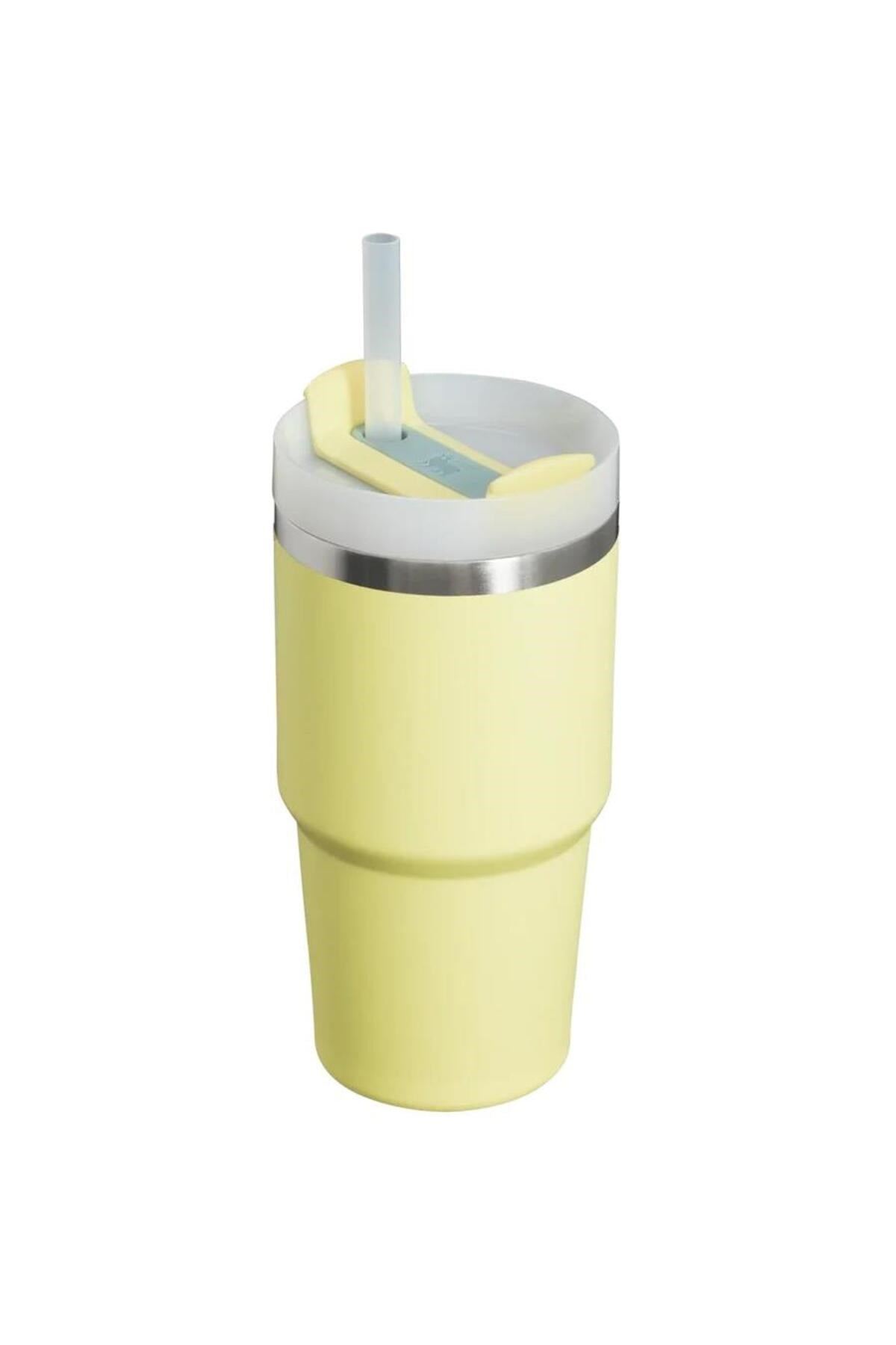 Quencher Pipetli Termos Bardak 0,60 LT-10-10826-306