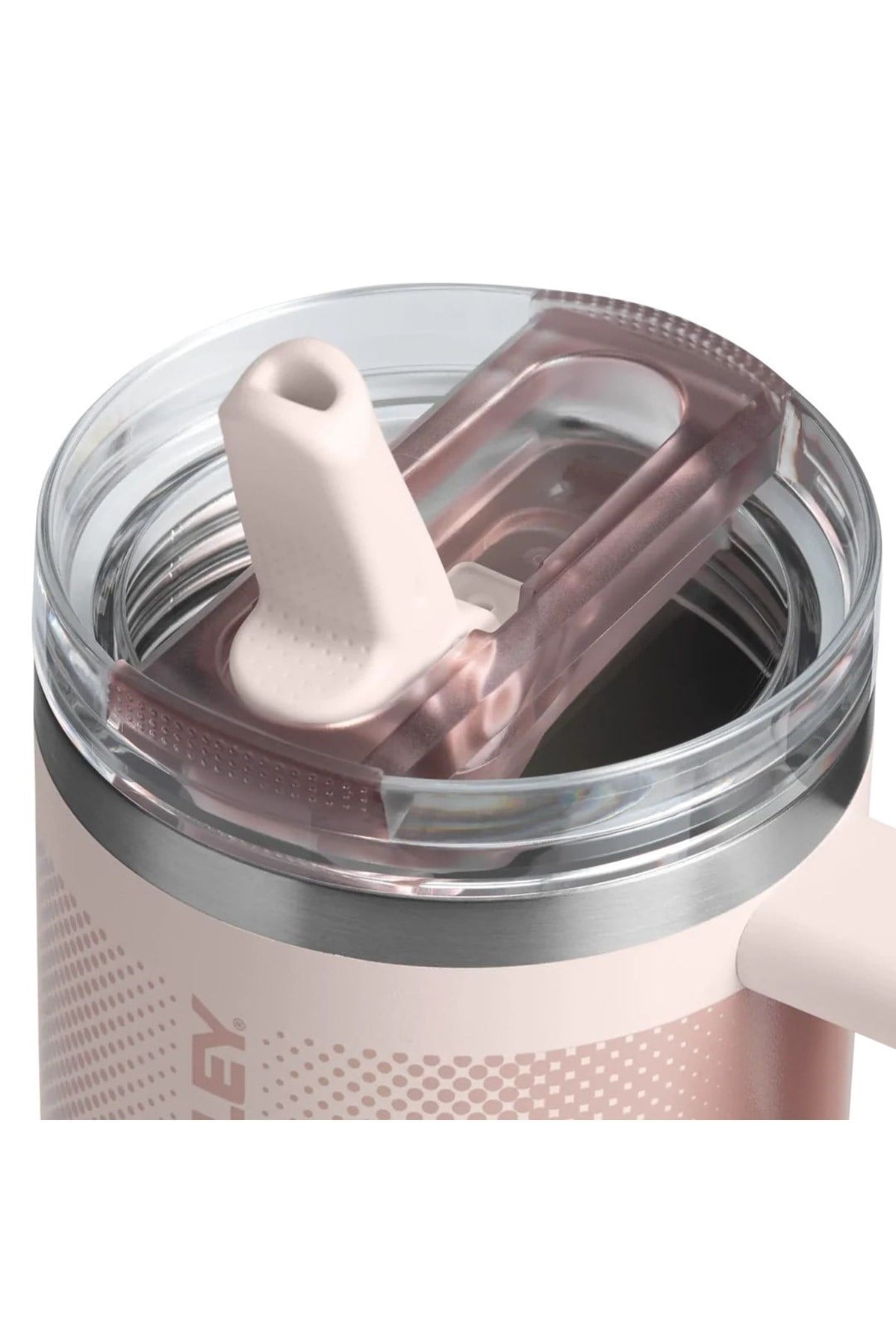 The Quencher ProTour Flip Straw Pipetli Termos 0,60 LT Pipetli Matara PUDRA