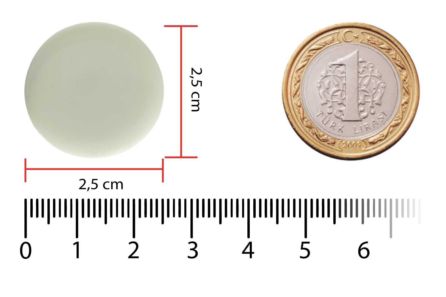 NFC TAG ICODE SLIX- 25mm Dia