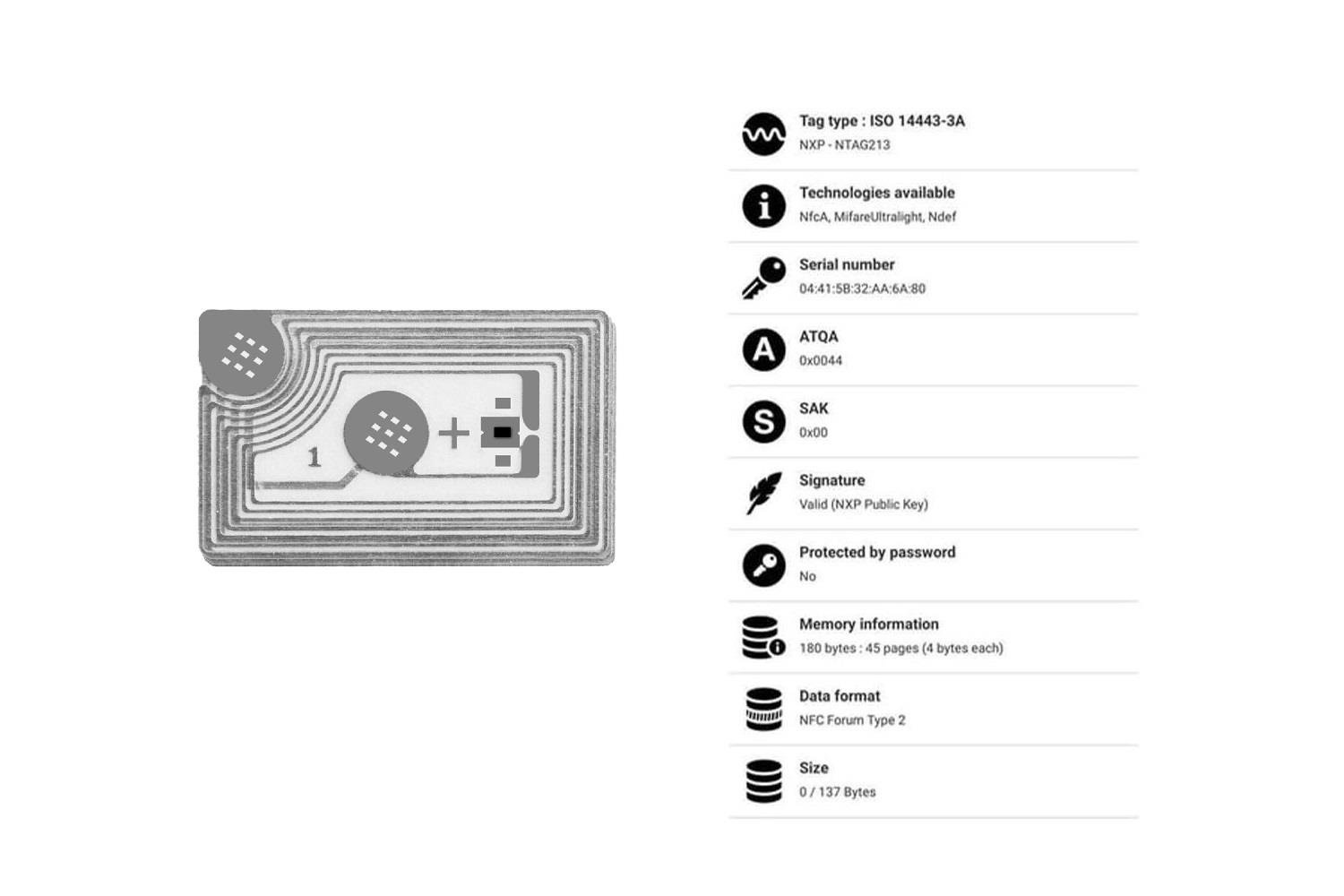 SMARTRAC MIDAS+ NFC Wet Inlay (NXP NTAG213)