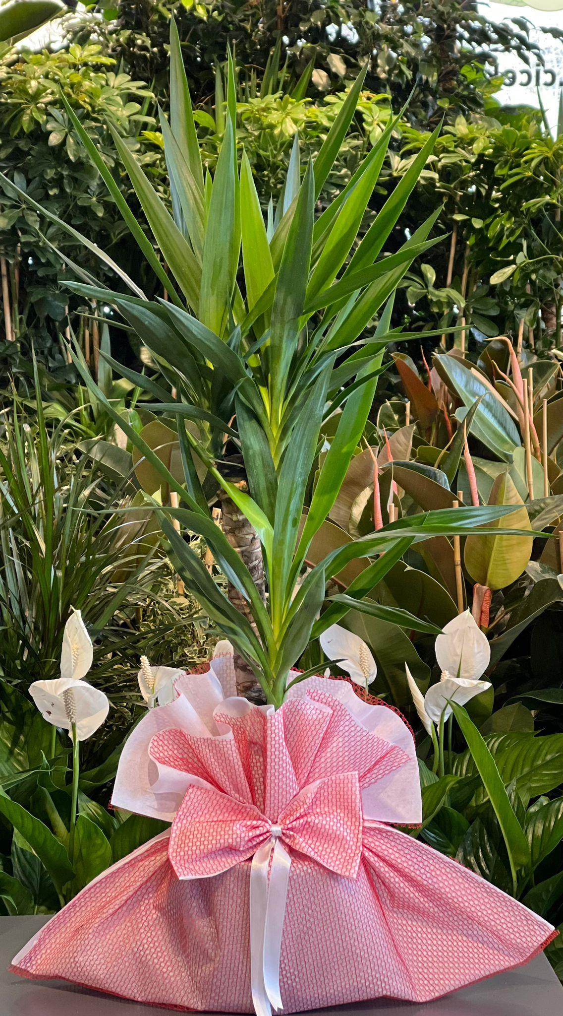 2'Lİ Yucca Çiçeği 120 Cm.