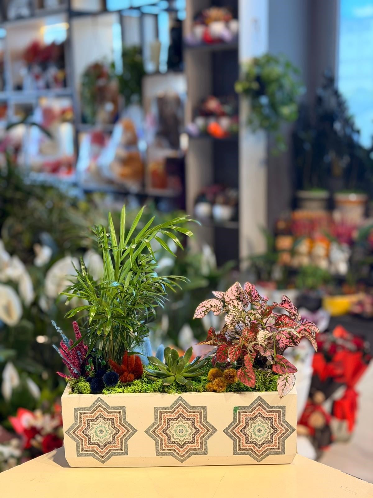 Geometrik Desenli Dikdörtgen Seramik Chamaedorea Sukulent Sarı Kuru Çiçek Detaylı