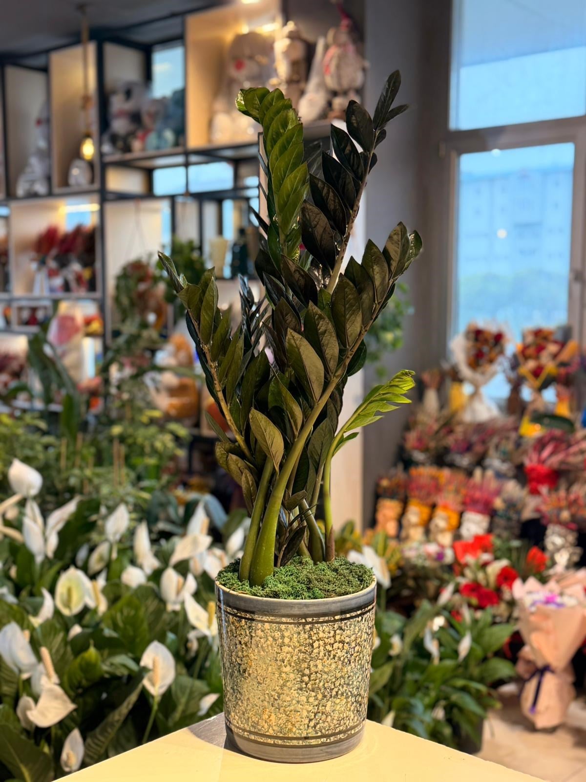 Mavi Desenli Seramik Zamia Çiçeği 110 Cm