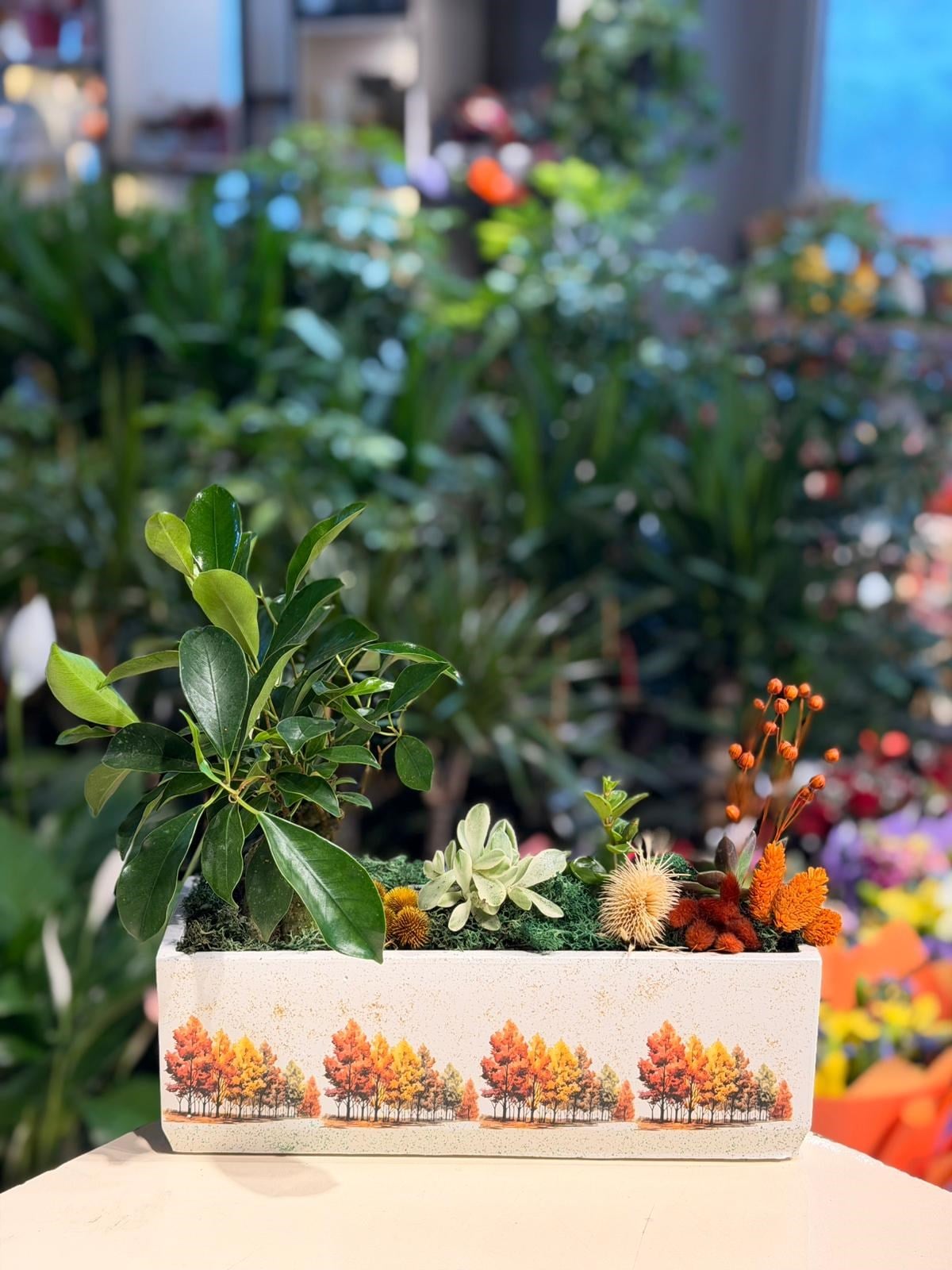 Sonbahar Desenli Dikdörtgen Seramik Bonsai Sukulent 