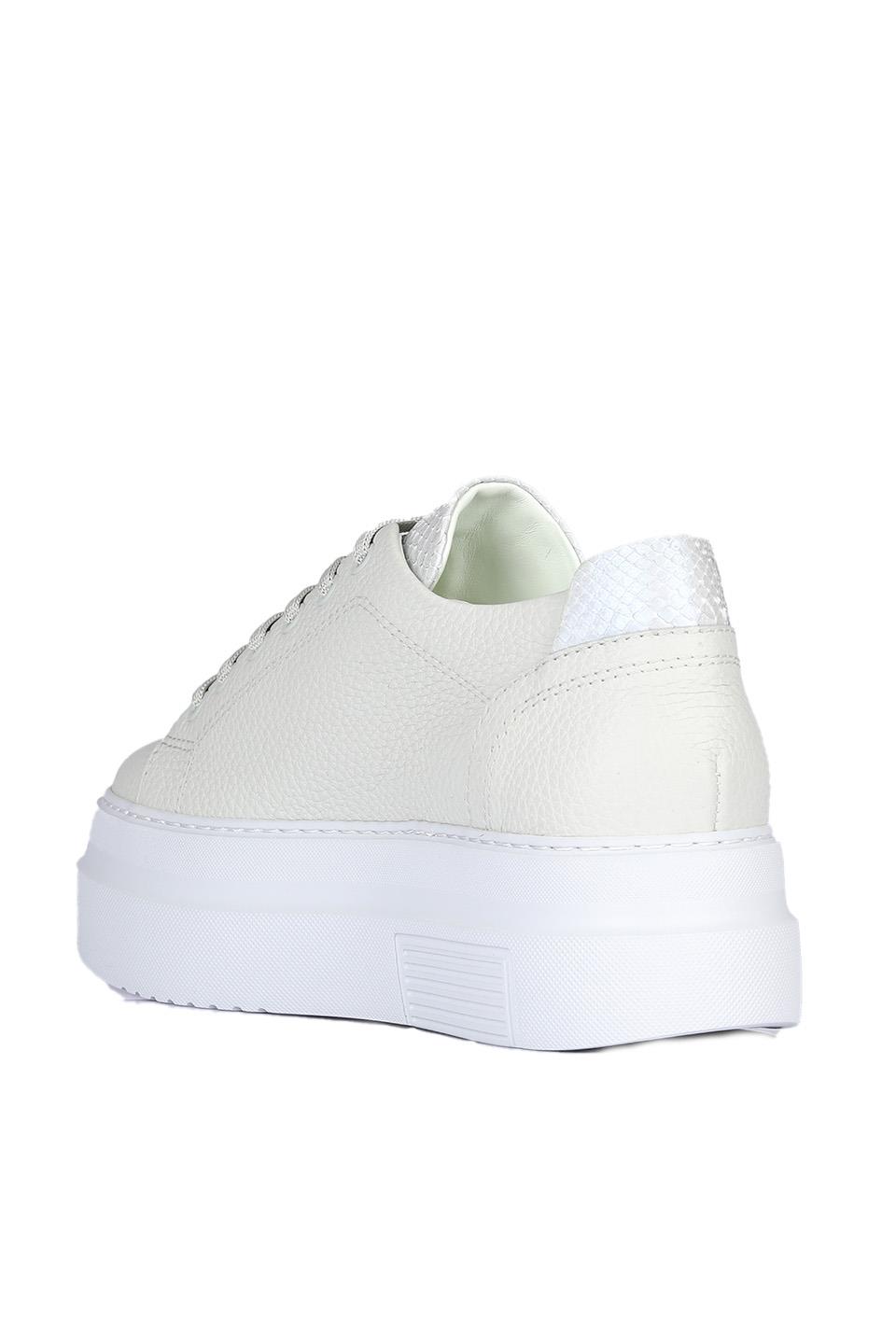 A29648 TOGO+PİTON 21100