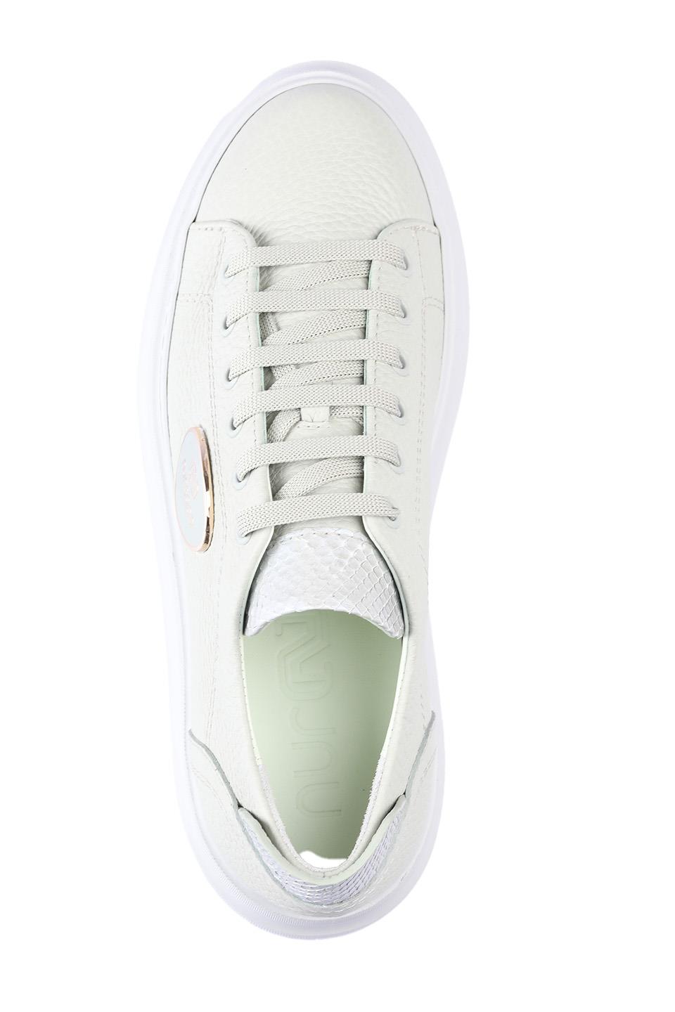 A29648 TOGO+PİTON 21100