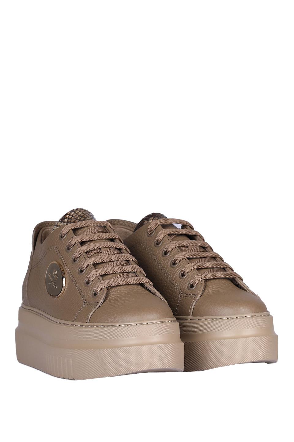 A29648 TOGO+PİTON Çoklu Renkli